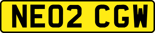 NE02CGW
