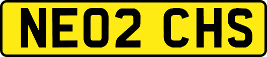 NE02CHS