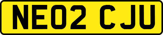 NE02CJU