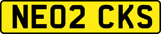 NE02CKS