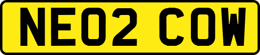 NE02COW