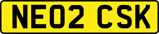 NE02CSK