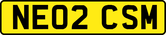 NE02CSM