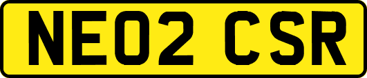 NE02CSR