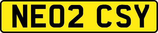 NE02CSY