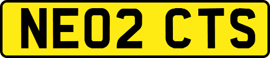 NE02CTS