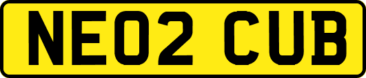 NE02CUB