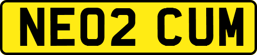 NE02CUM