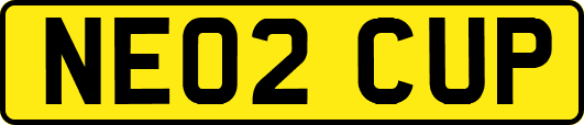 NE02CUP