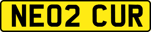 NE02CUR