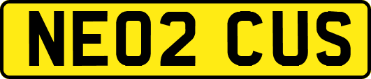 NE02CUS
