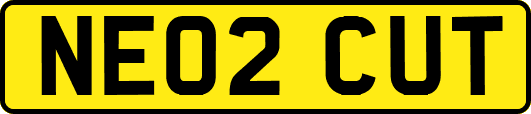 NE02CUT