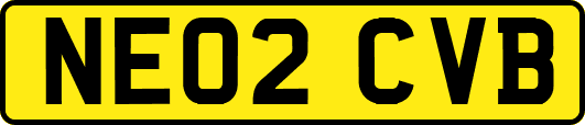 NE02CVB