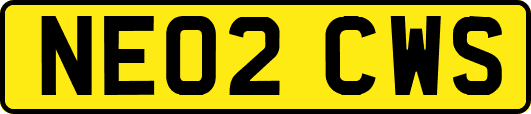 NE02CWS