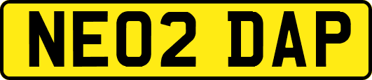 NE02DAP