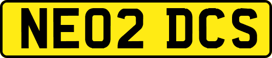NE02DCS