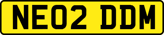 NE02DDM