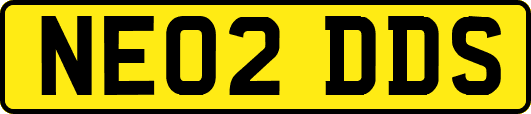 NE02DDS