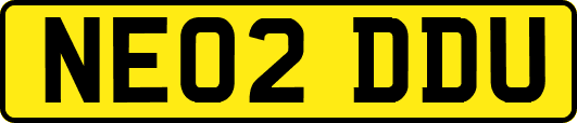 NE02DDU