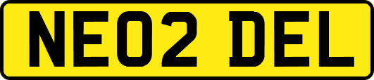NE02DEL