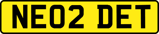 NE02DET