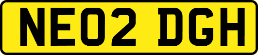 NE02DGH
