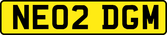 NE02DGM