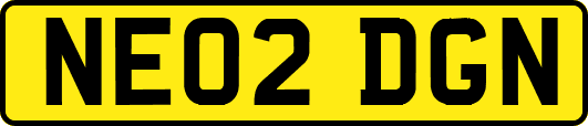 NE02DGN