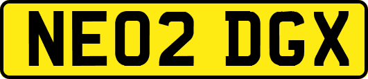 NE02DGX