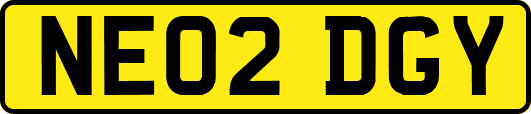 NE02DGY