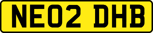 NE02DHB
