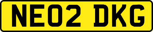 NE02DKG