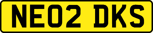 NE02DKS