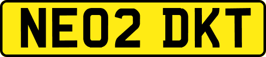 NE02DKT