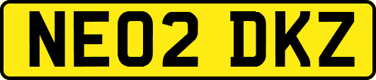 NE02DKZ