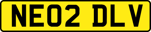 NE02DLV