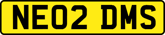 NE02DMS