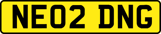 NE02DNG