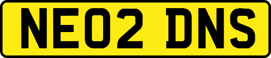 NE02DNS
