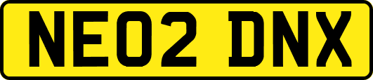 NE02DNX