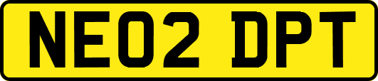 NE02DPT
