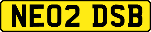 NE02DSB