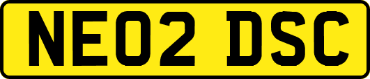 NE02DSC