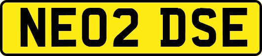 NE02DSE