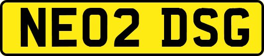 NE02DSG