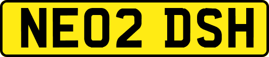 NE02DSH
