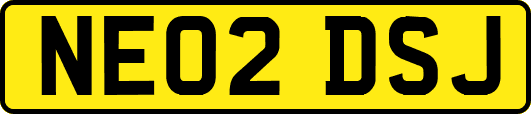 NE02DSJ
