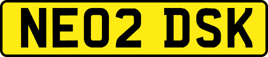 NE02DSK