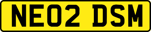 NE02DSM