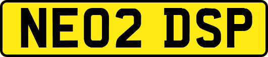 NE02DSP